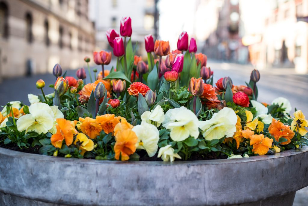 Blomsterarrangemang