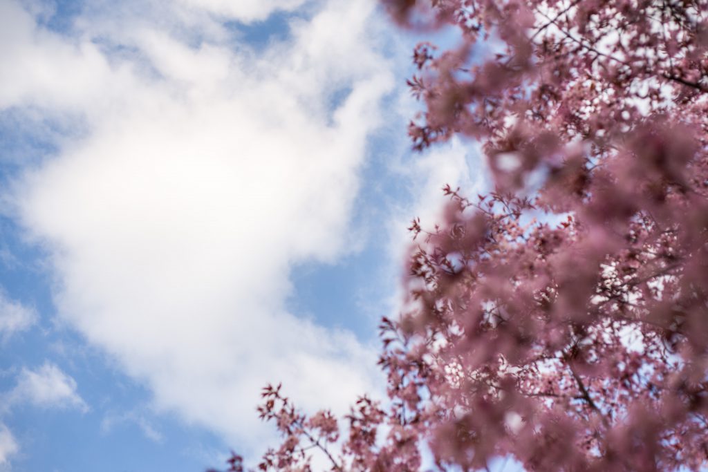 Blå himmel