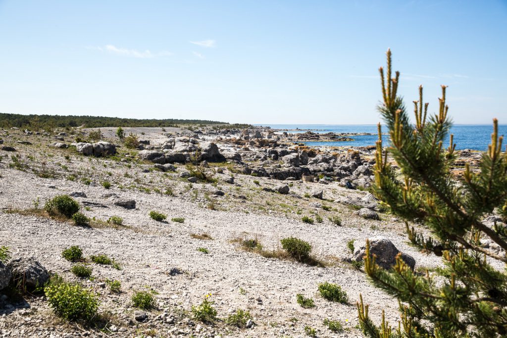 Stenig strand vid Langhammar. 