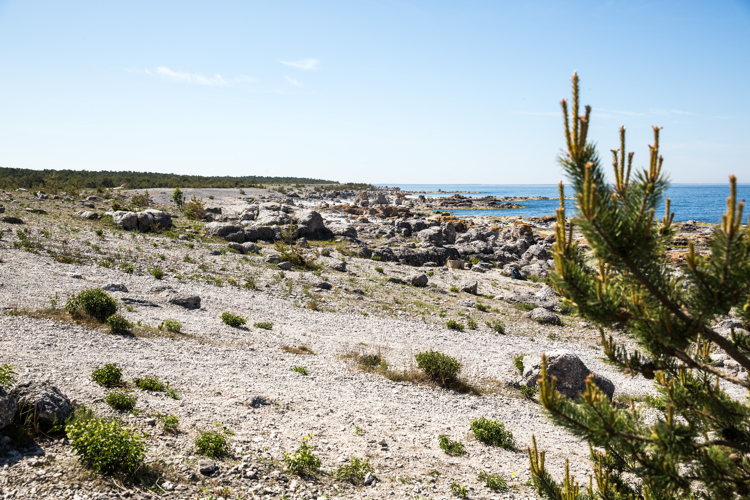 Stenig strand vid Langhammar.