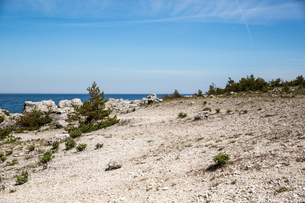 Stenig strand vid Langhammar. 