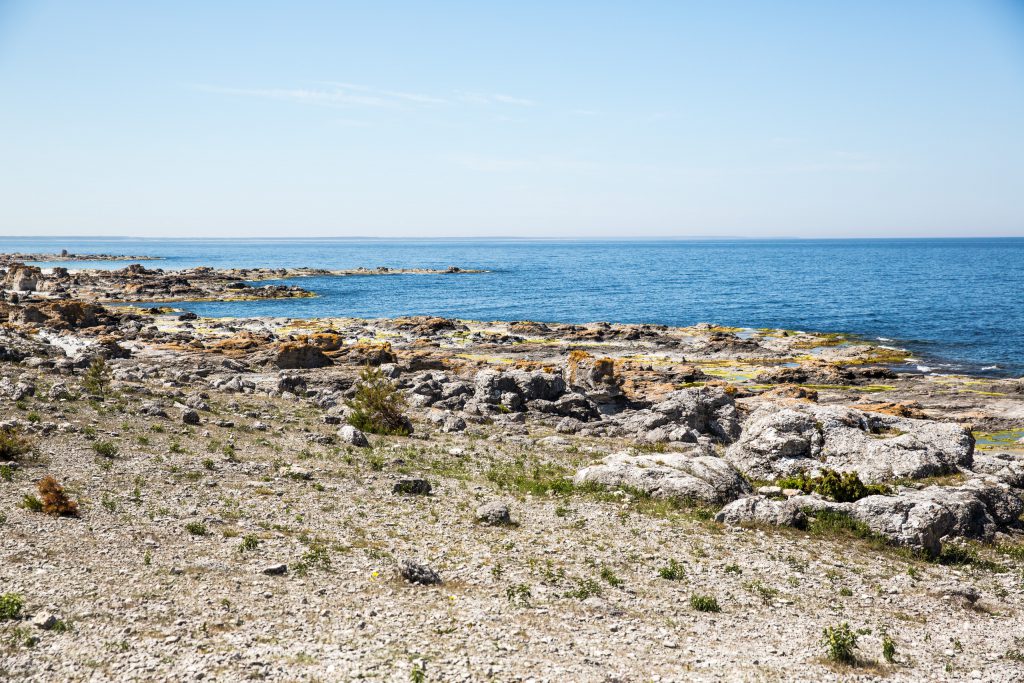 Stenig strand vid Langhammar. 