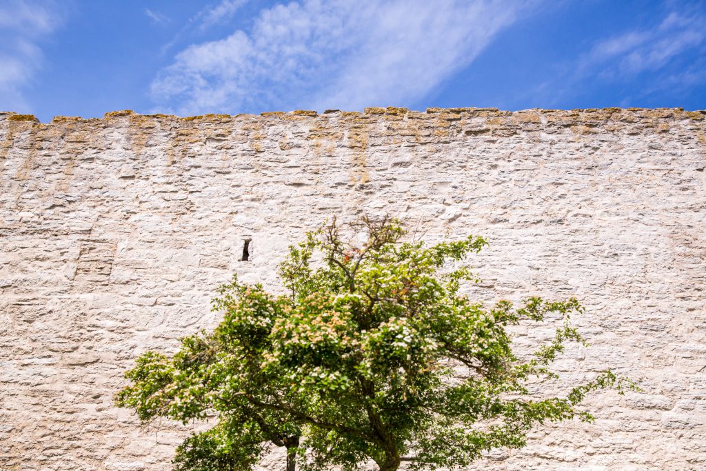 Visby ringmur