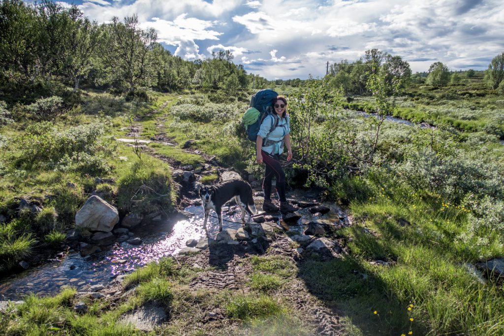 Fjällvandring