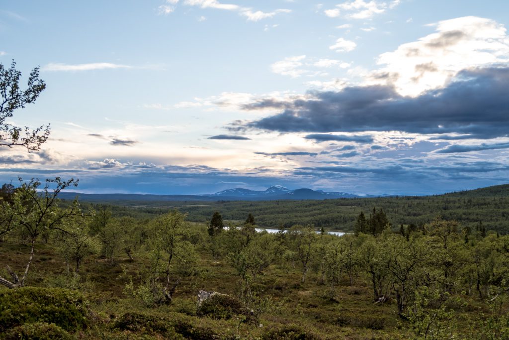 Schysst utsikt över Anådalen