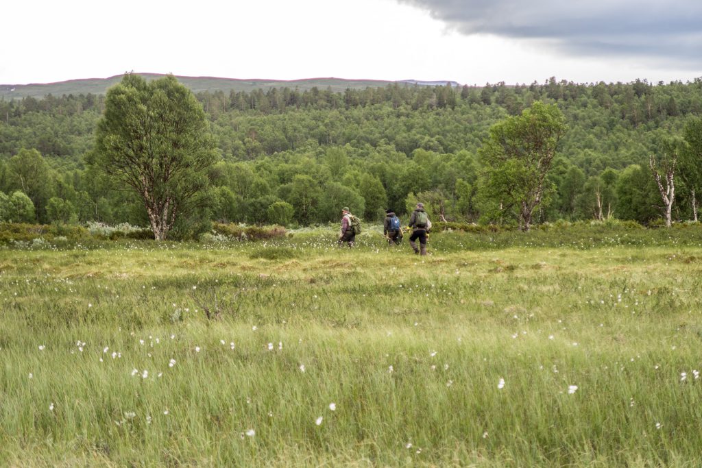 Fiskare i Mittån