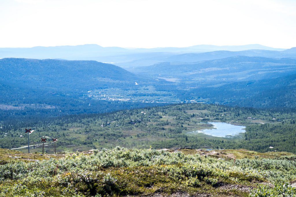 Ljungdalen