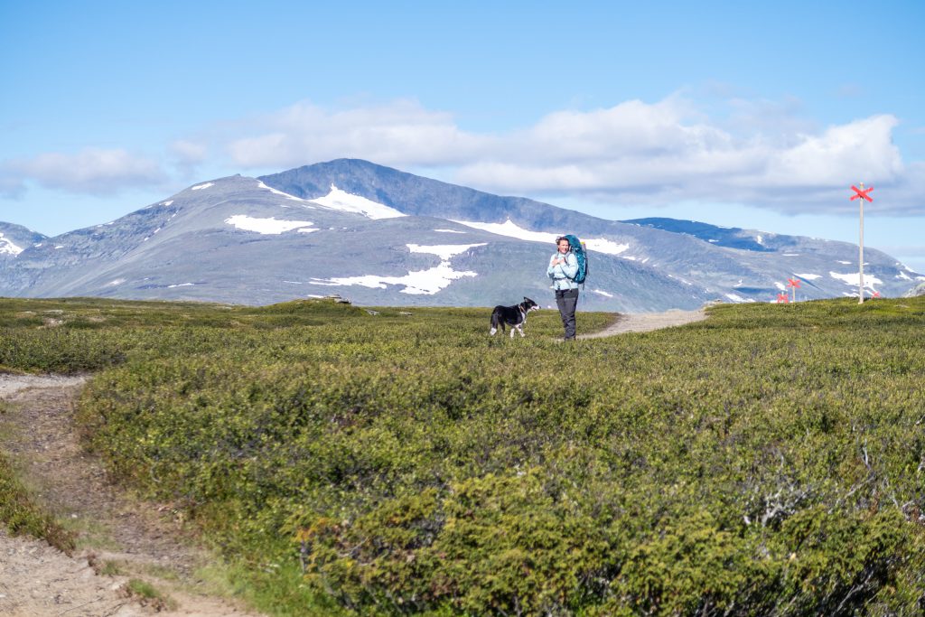 Mot Helags fjällstation