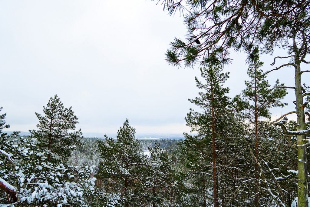 utsikt Torsborgen