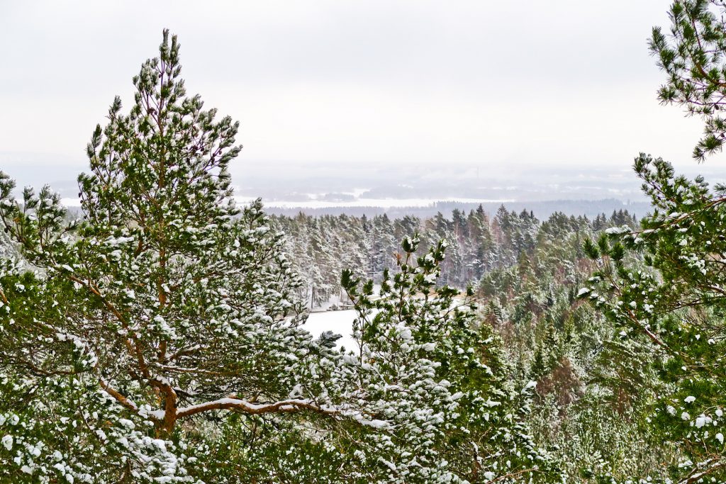 utsikt Torsborgen