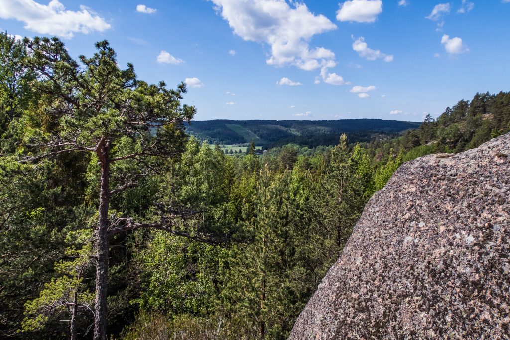 Utsikt från fikasten