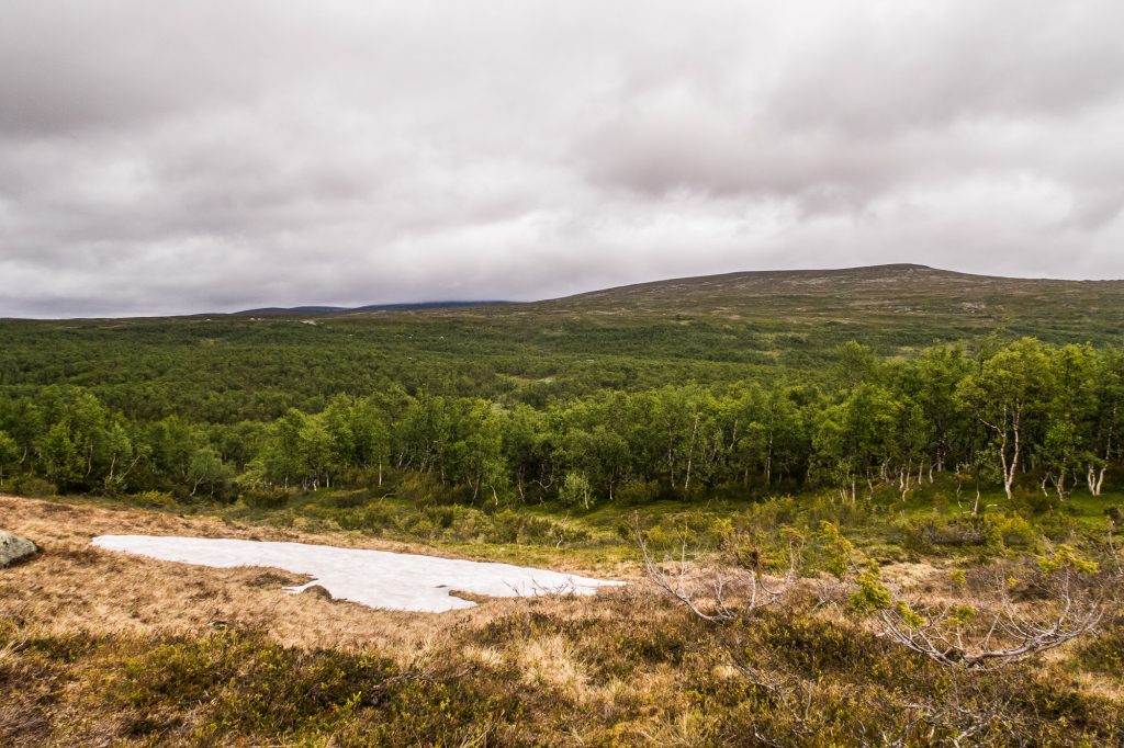 Utsikt mot Dunsjöfjället