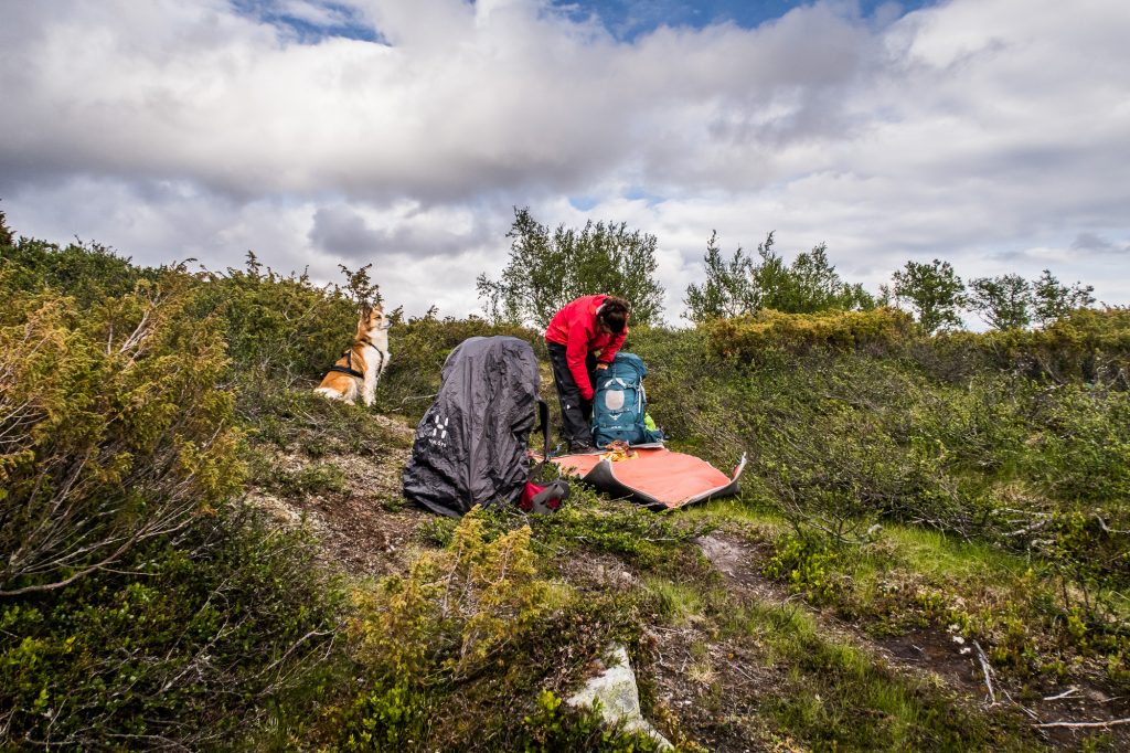 Fika i fjällen