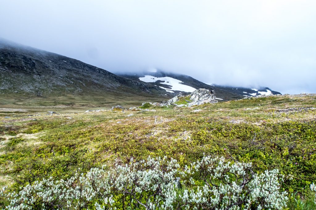 Helags glaciär