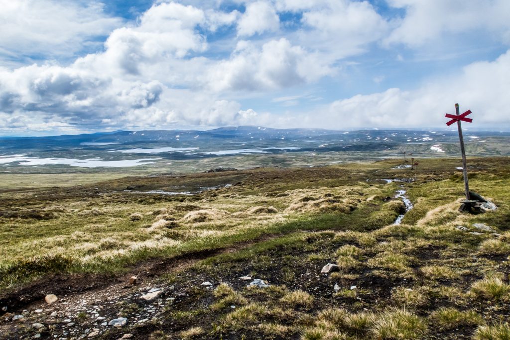 Fjällnatur