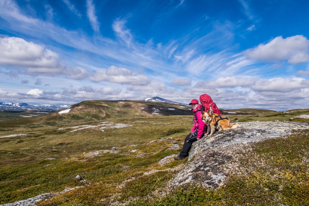 Fjällvandrare