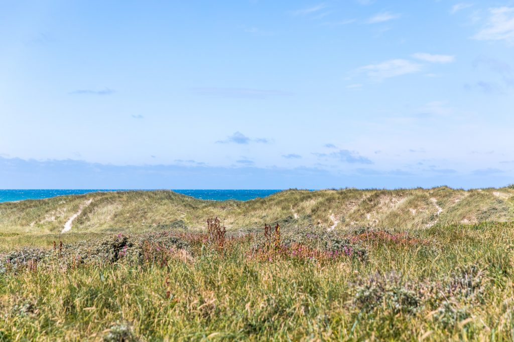 Utsikt mot havet