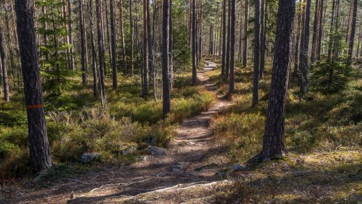 Trail along Sörmlandsleden