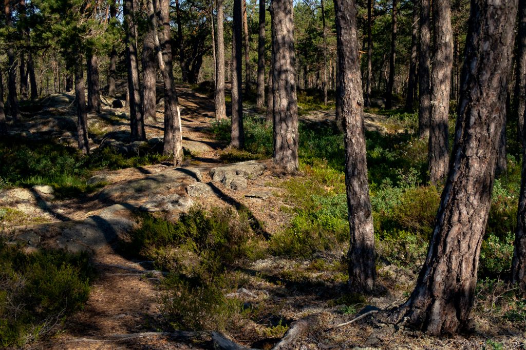 Just keep walking, Sörmlandsleden 23