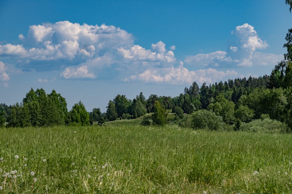 It's all green in Sweden now, Sörmlandsleden 24