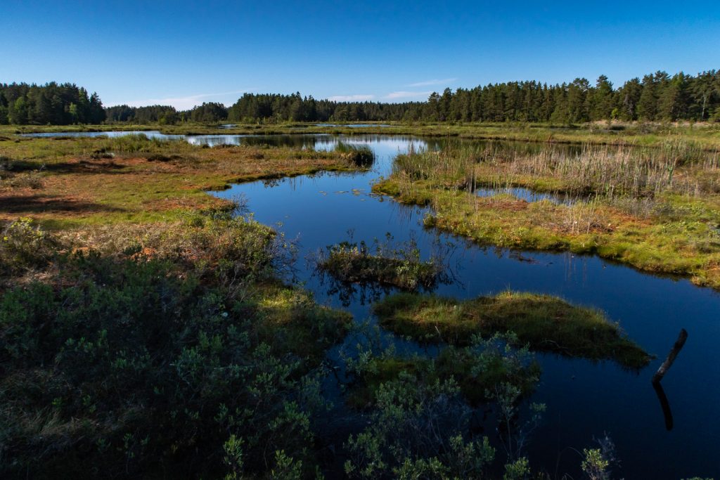 Wetland, Sörmlandsleden 22:1