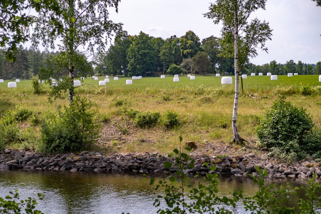 åker med ensilage vid Kinda kanal