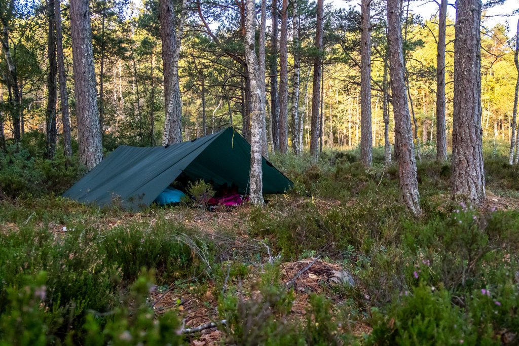 tarp uppsatt mellan träd