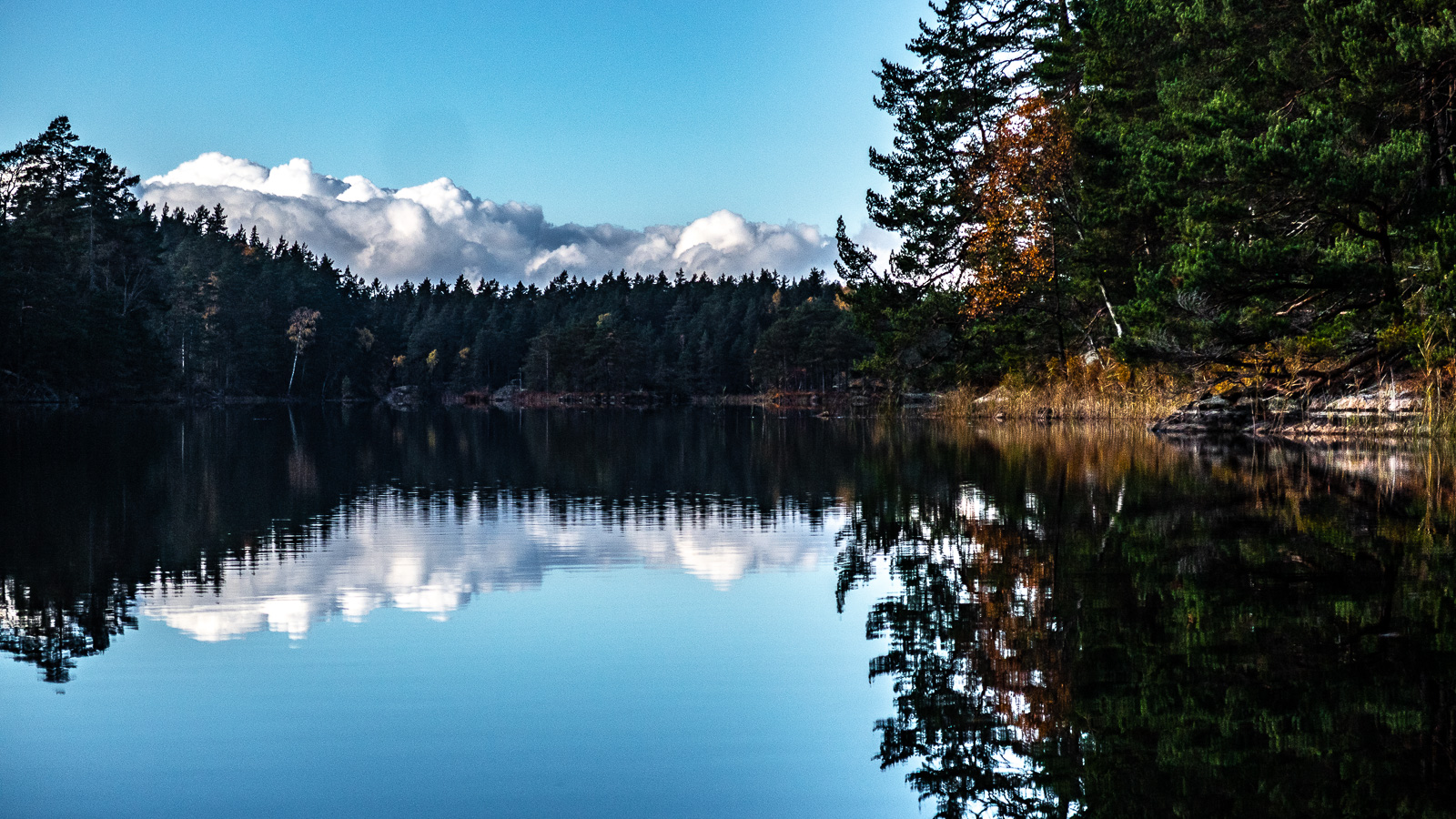 Spegelblank sjö med moln bakom skog