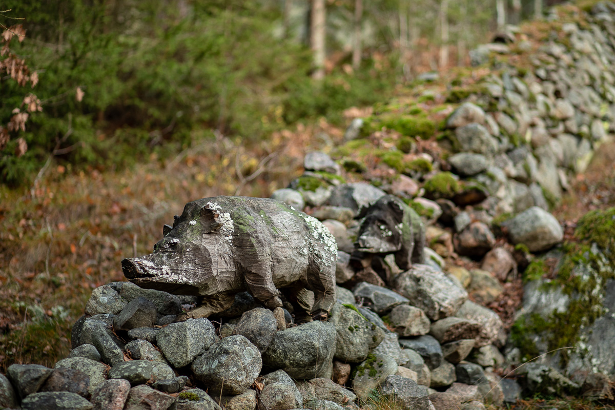 Vildsvin i trä på mur