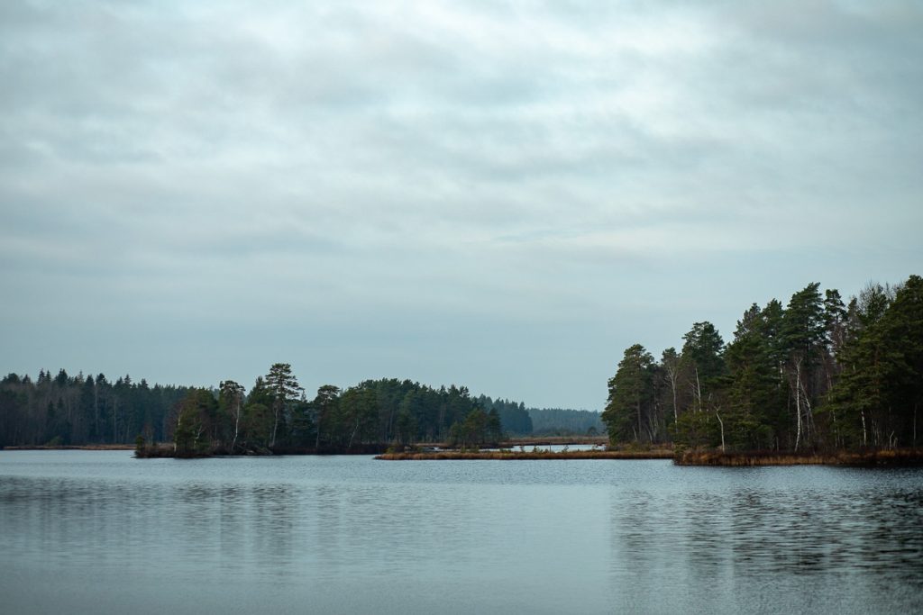 Murrigt väder runt Bruksadammen i Hälleforsnäs