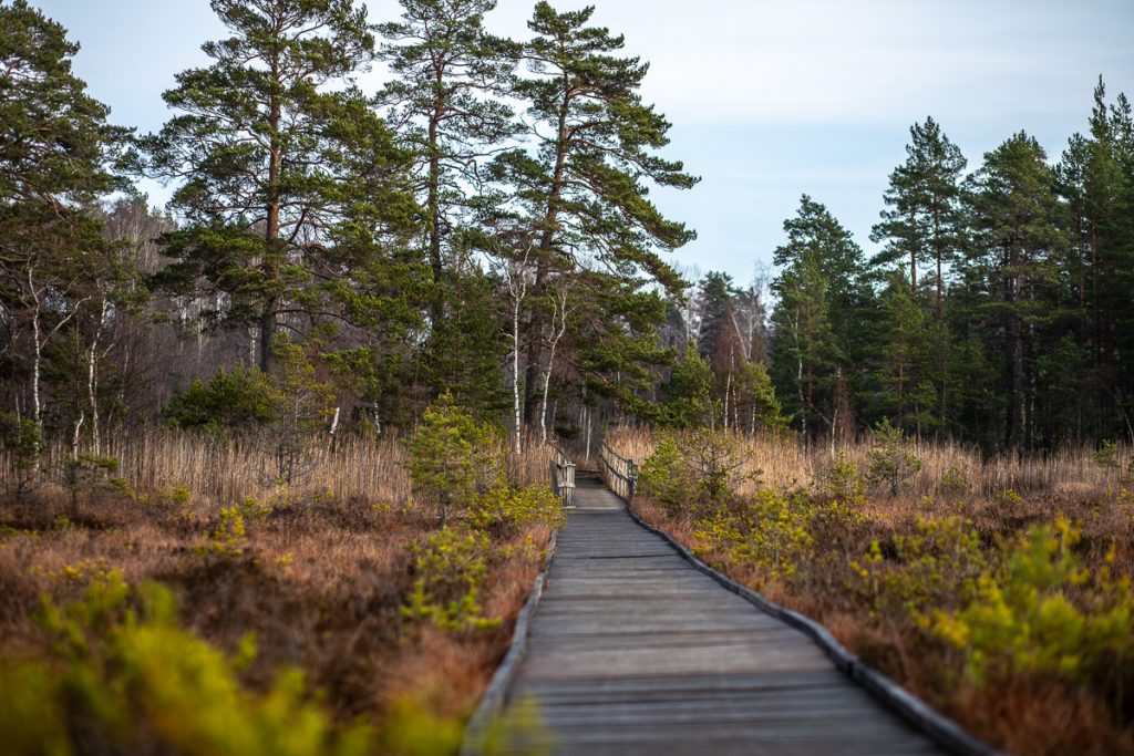 Handikappanpassad vandringsled