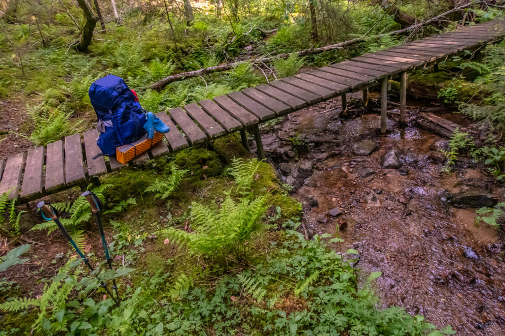 Bäck i skogen