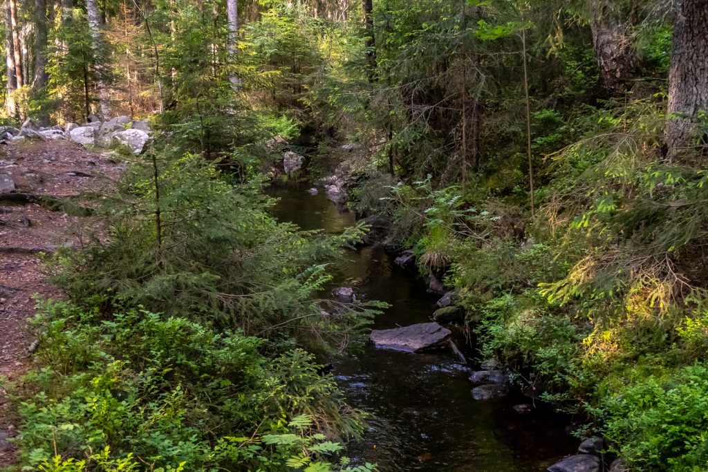 Gammal grävd damm längs Bergslagsleden