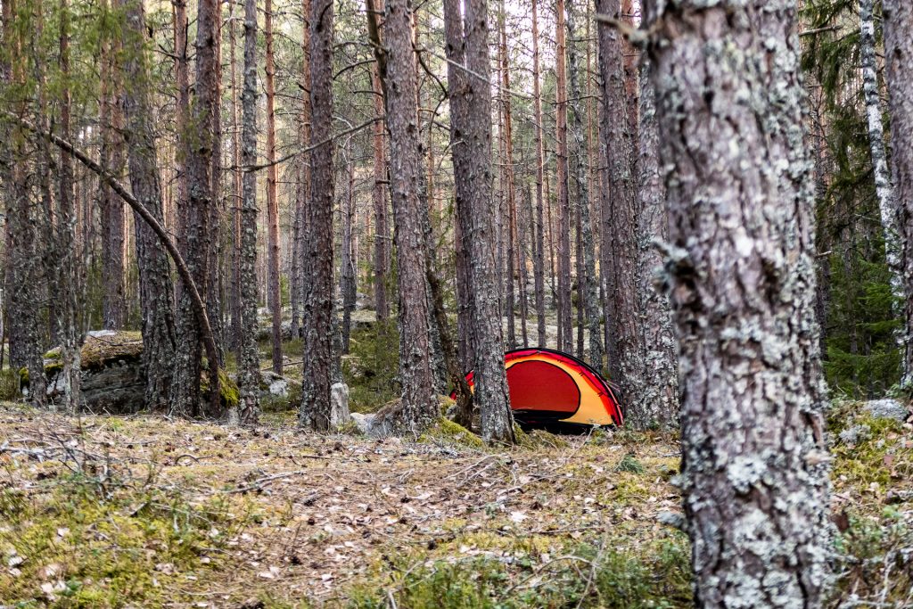 Hilleberg Niak i skogen