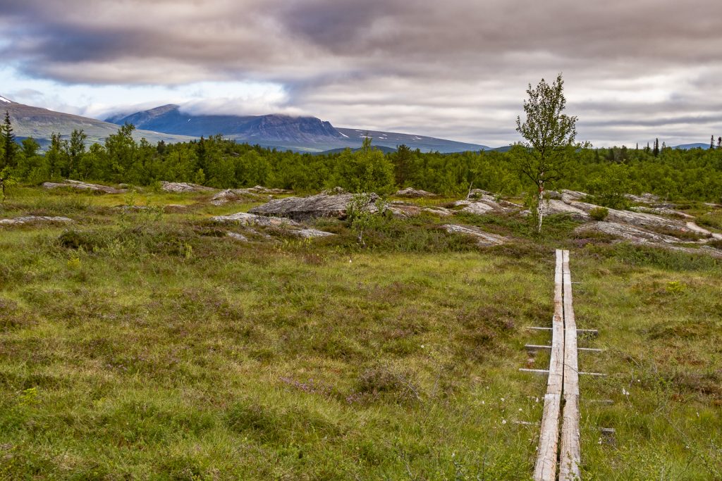 Spångar längs Kungsleden