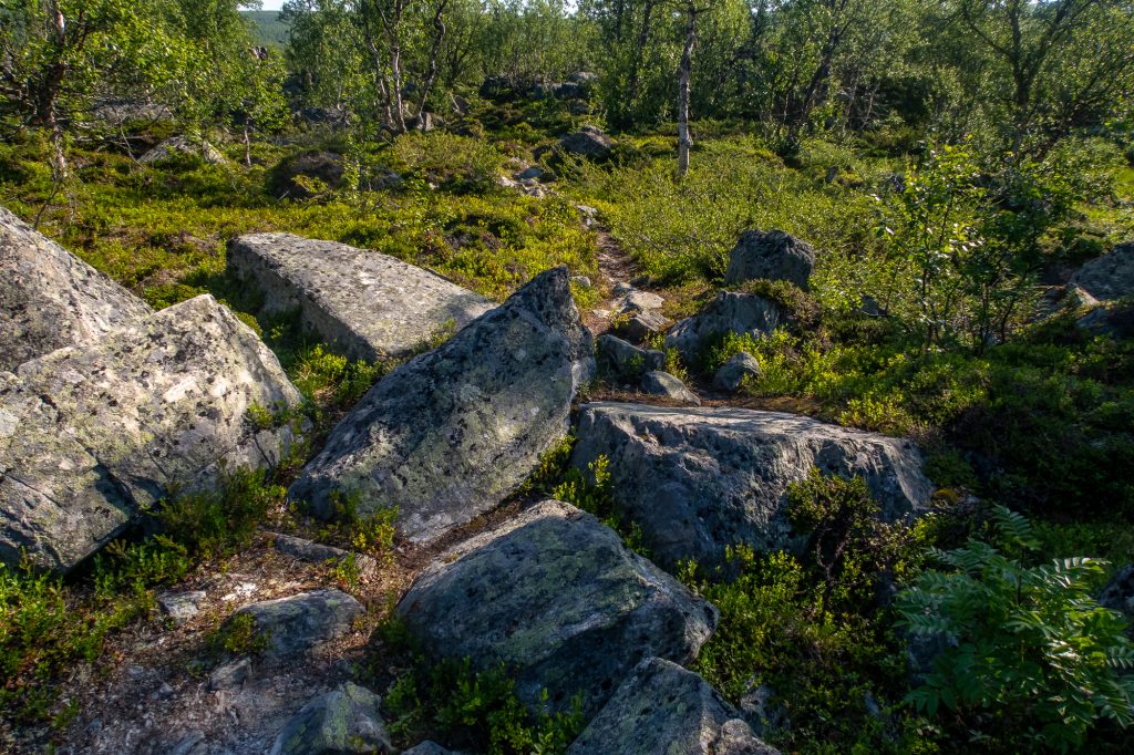 Stenig stig längs Kungsleden