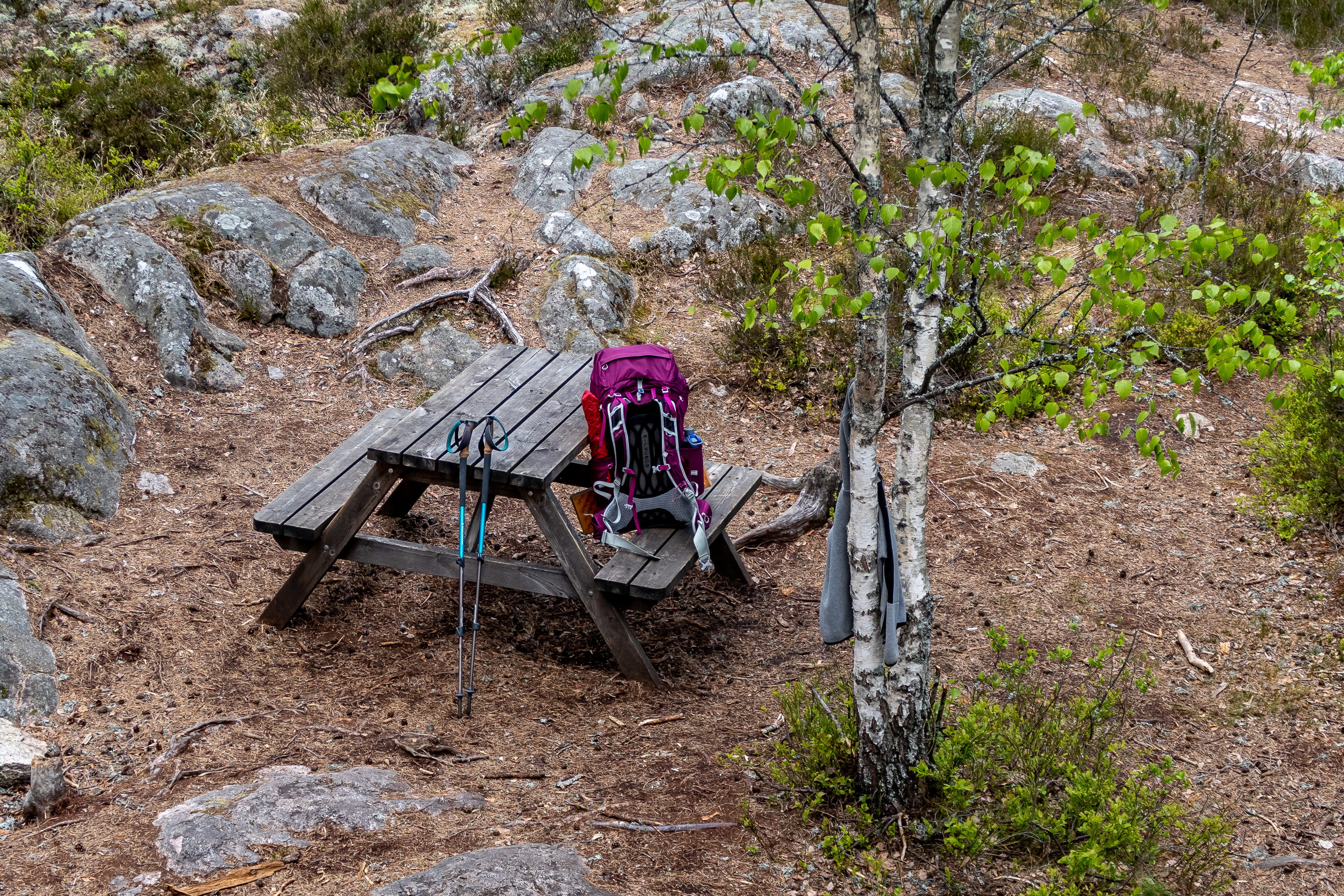 Ryggsäck och vandringsstav vid bord i skogen