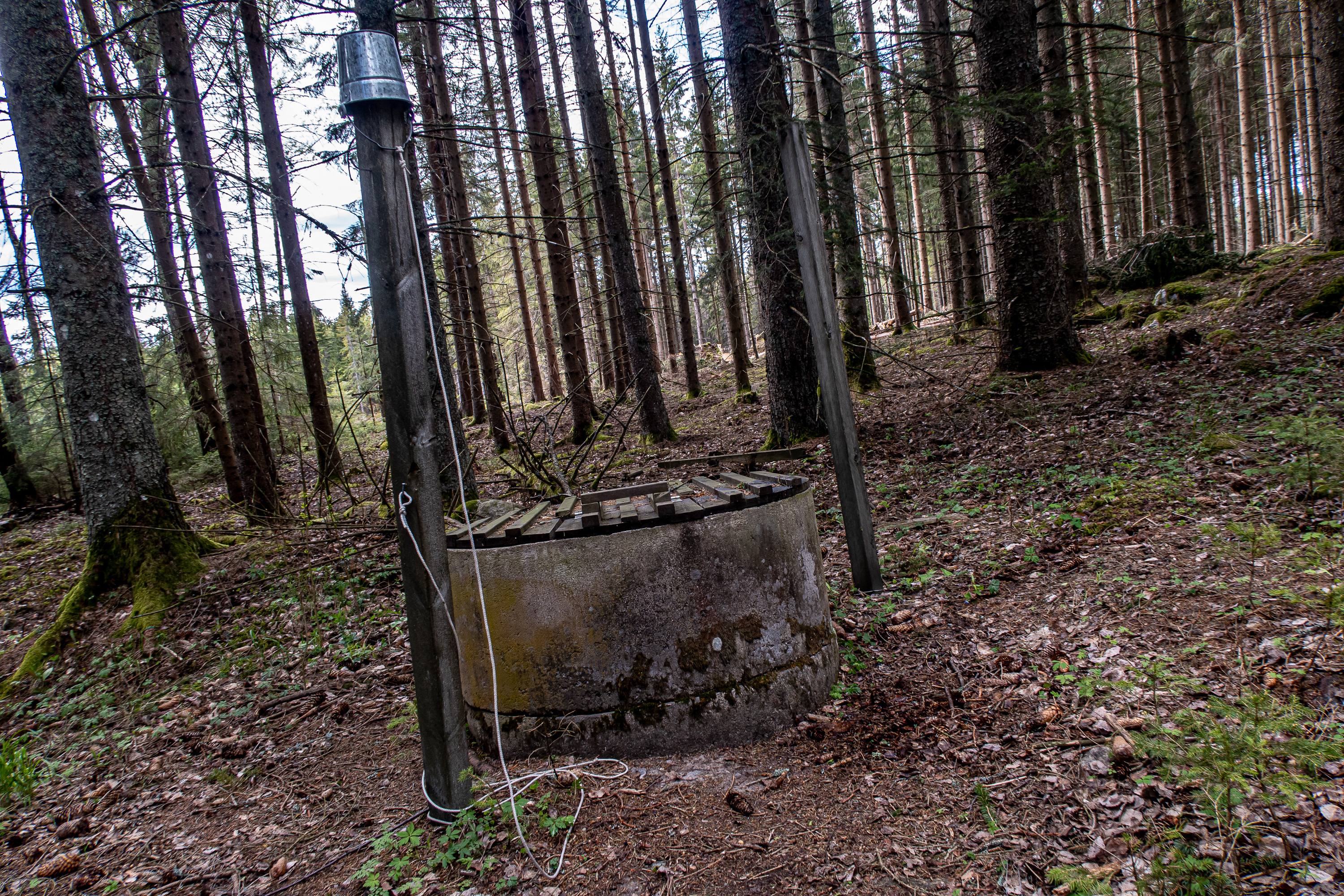 vattenkälla längs Sörmlandsleden, etapp 28