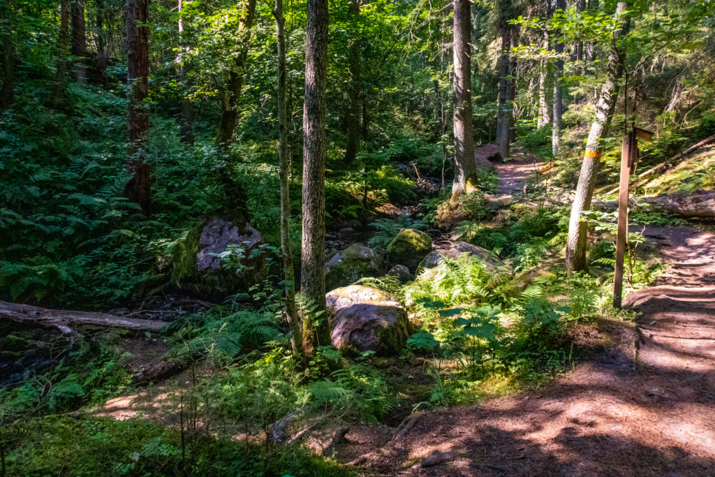 Getåravinen norr om Norrköping