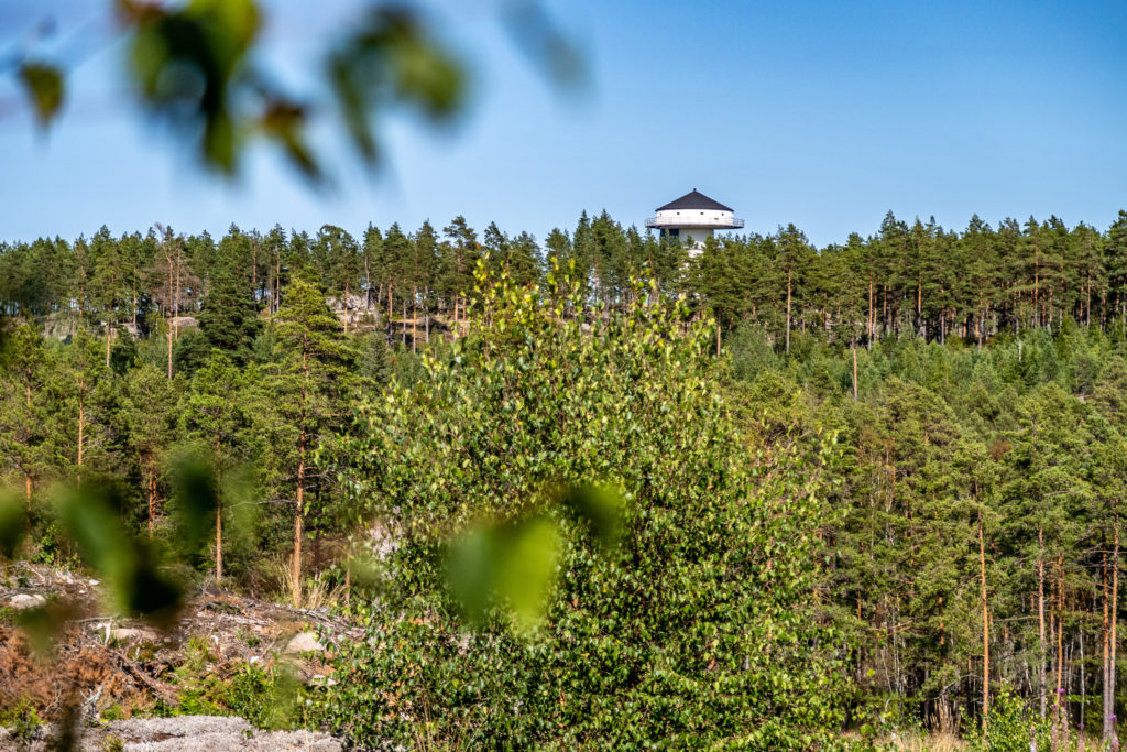 Vit byggnad vid skogsrand