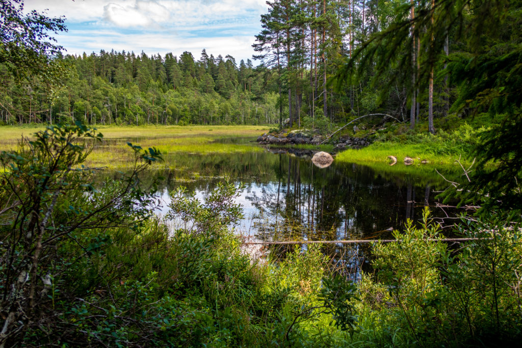 Sjön Tunntappen som passeras när man går längs Bergslagsleden