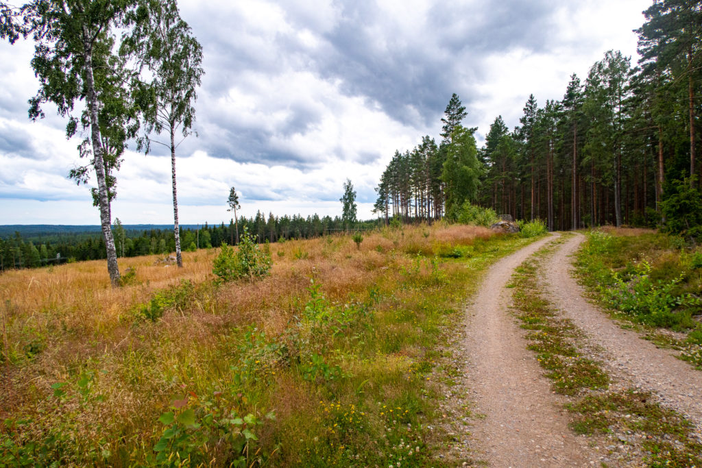 Grusväg med kalhygge och skog längs Begslagsleden