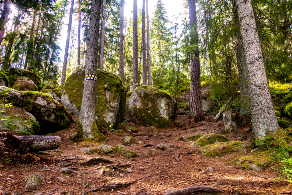 Stigmarkering för gul och grå led i Tivedens nationalpark