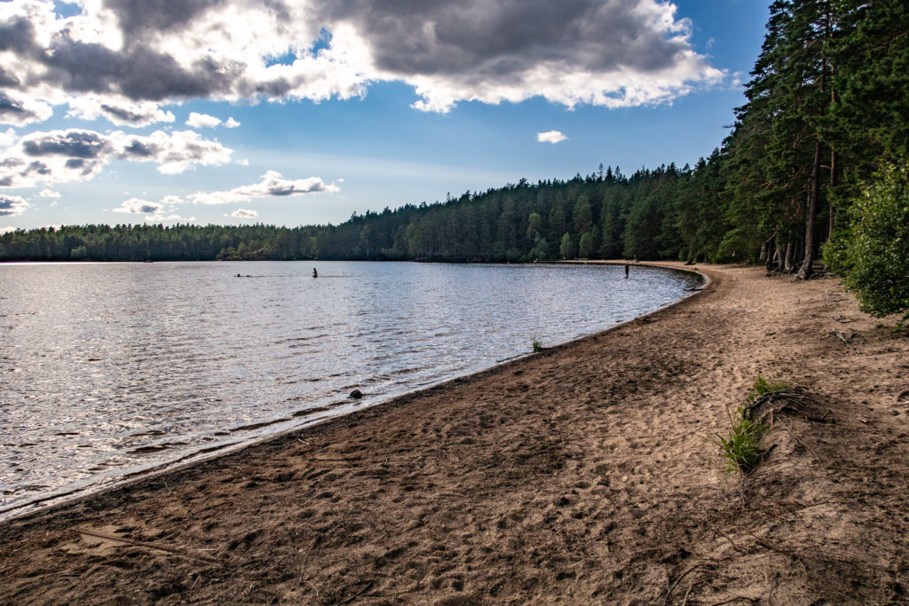 Fin badstrand vid Vitsand i Tivedens nationalpark