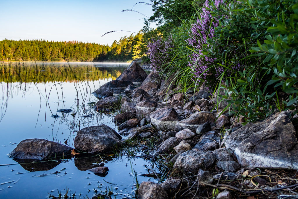 Lätt morgondimma över Lilla Älgsjön