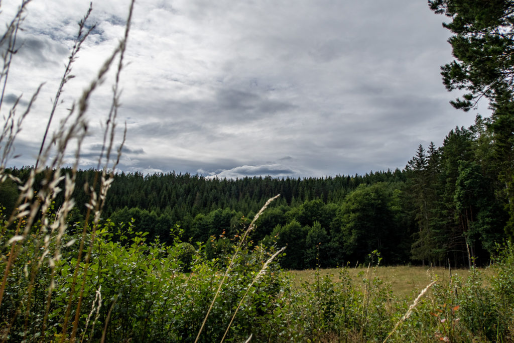 Molnig himmel över fält