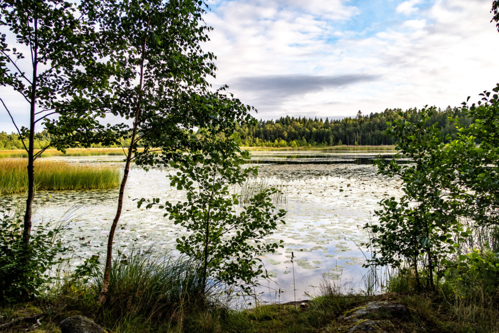 Utsikt från vindskydd vid sjön Trasken