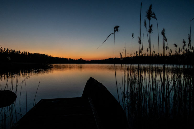 Solnedgång över sjö med brygga och vass