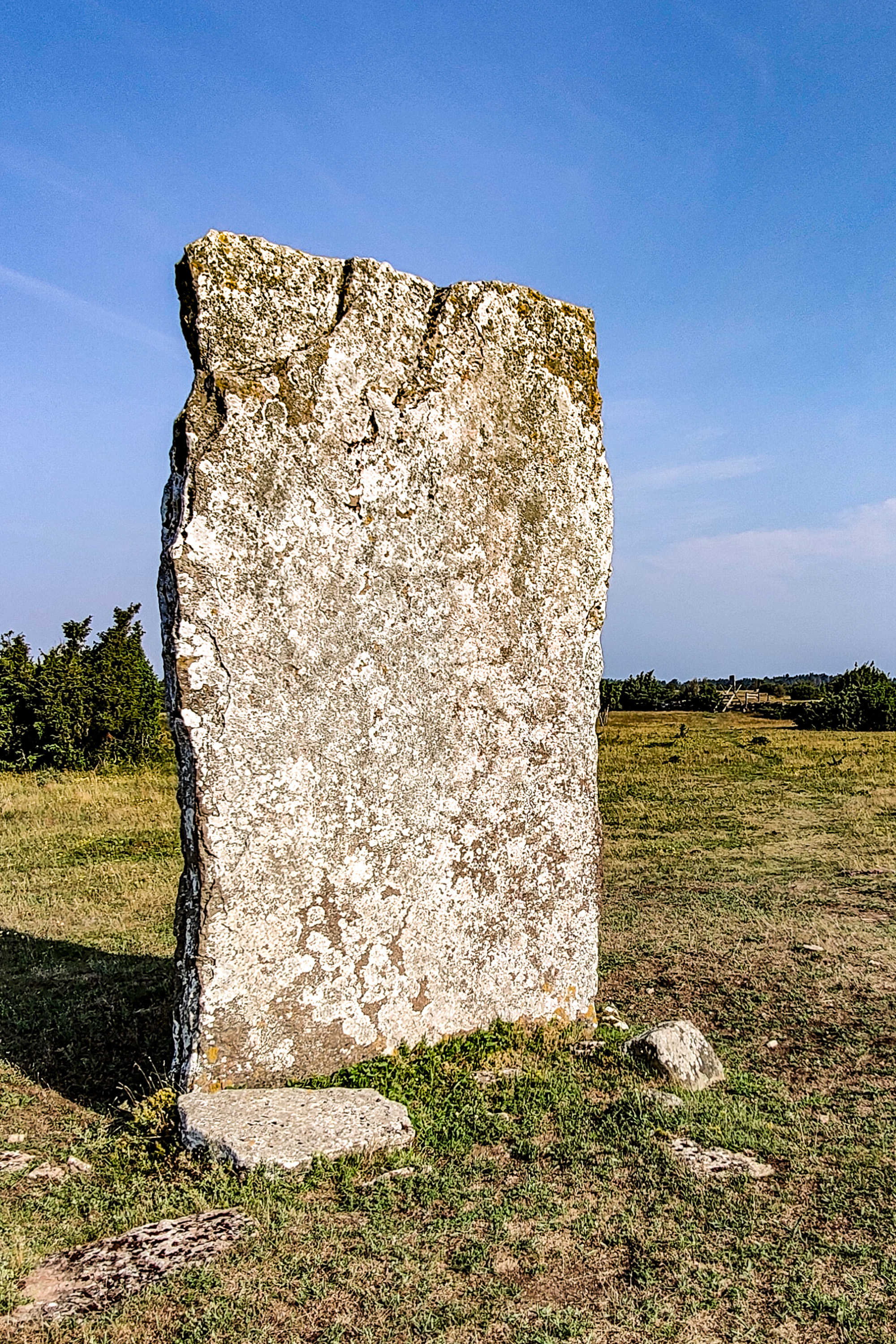 Tingstad flisa, en av stenarna på Ölands Alvaret.