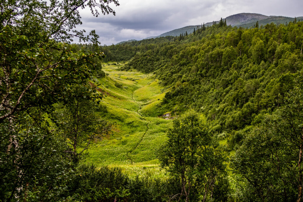 Blinda dalen i Bjurälvens naturreservat